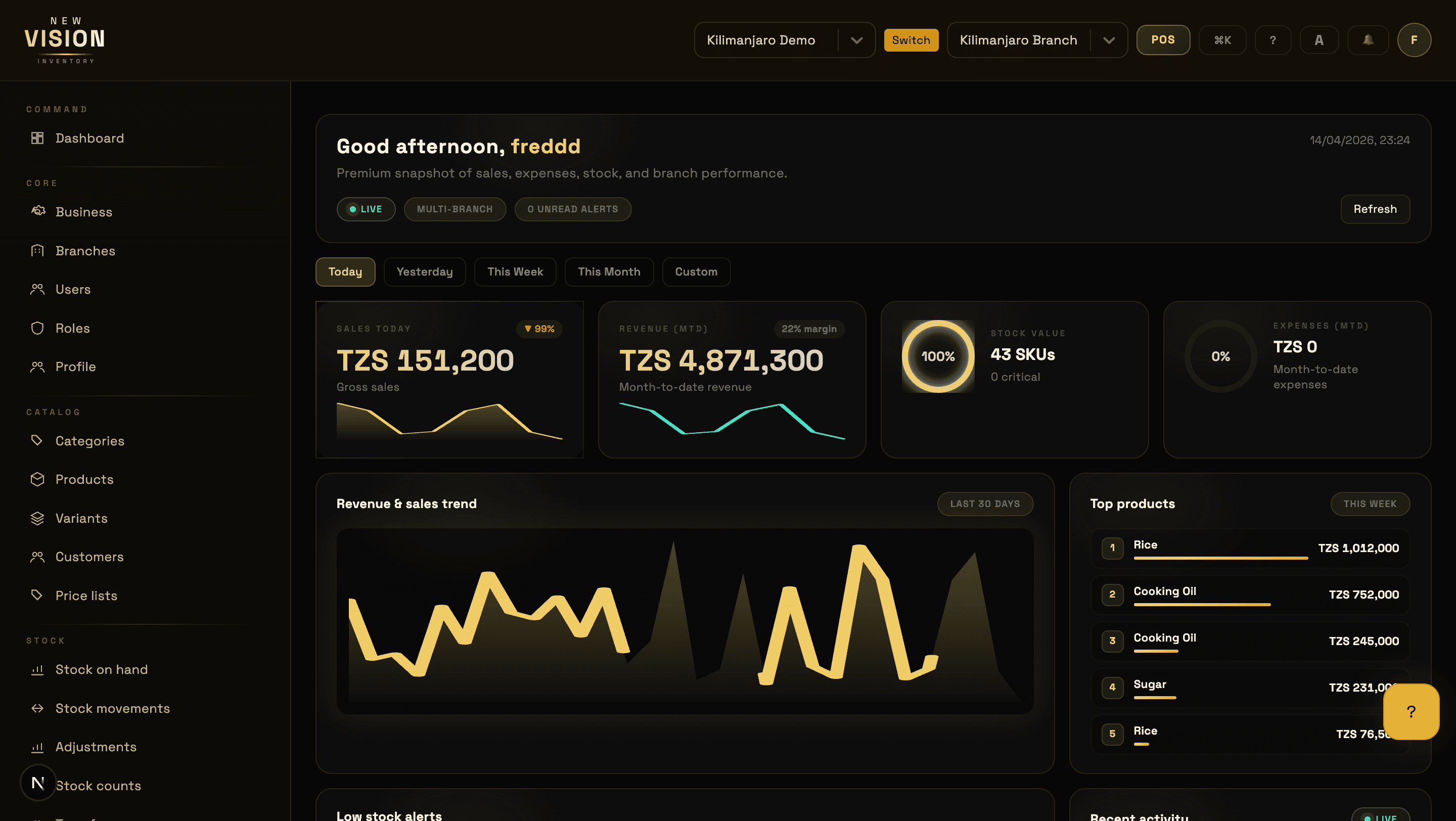 New Vision Inventory dashboard showing today's revenue, low-stock alerts, and top products